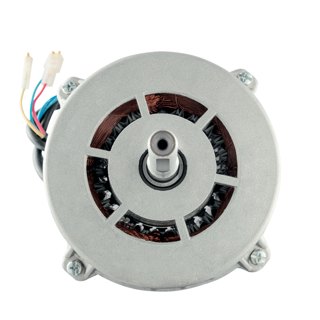 الکتروسورن